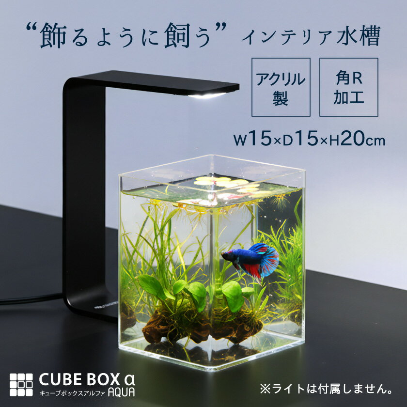 ベタ 水槽 幅15cm 高さ20cm 奥行15cm アクリル 軽量 小型水槽 ミニ水槽 卓上水槽 飼 ...