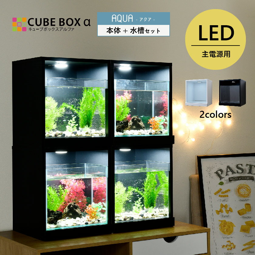 楽天SEMI-STYLEお部屋に小さな水族館 キューブボックスα アクア LED付き 水槽セット 【送料無料】 アクアリウム アクリル水槽 おしゃれ メダカ水槽 室内 レイアウト 30cm インテリア コンパクト 木製 台座