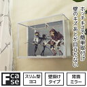 【15日★全品10%OFFクーポン★枚数限定】 賃貸だって気にしない 壁掛け コレクションケース Fケース スリム・ヨコ型 (背面ミラー) 壁 傷つけない フック 棚 壁掛けタイプ アクリルケース フィギュアケース 安い おしゃれ アクリル 石膏ボード ホッチキス 壁美人