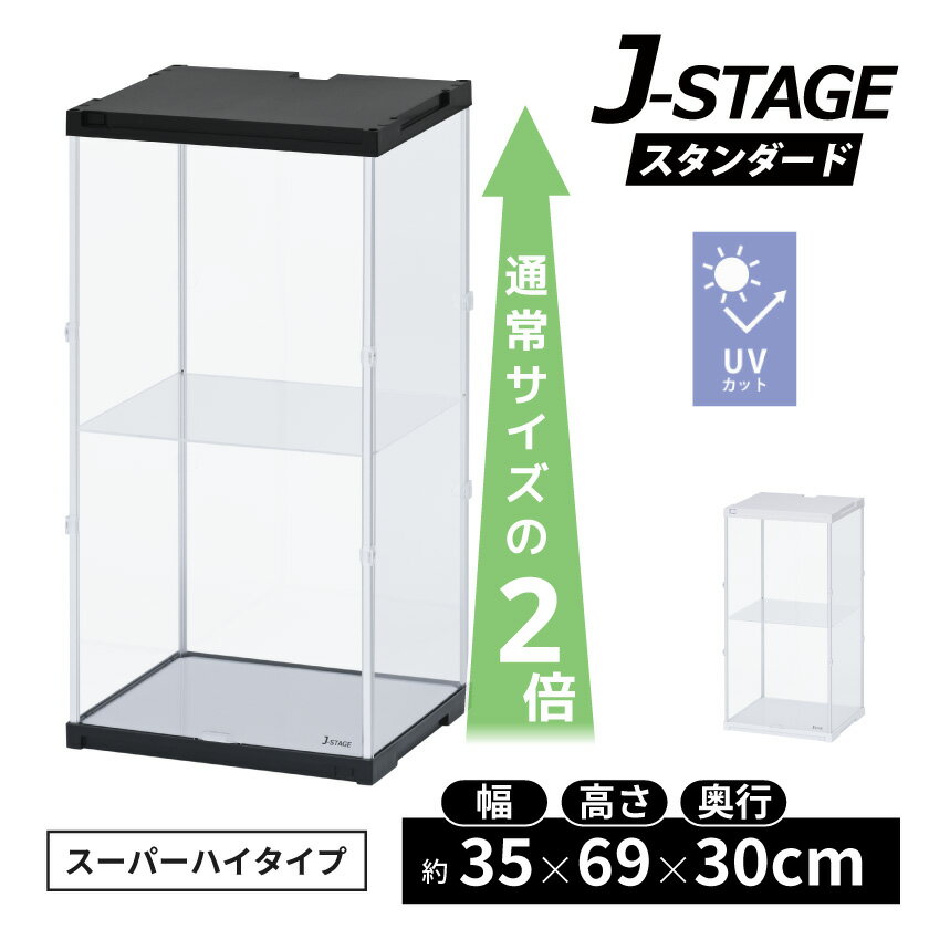 ѡϥо 륳쥯󥱡 J-STAGE ե奢 ɡ륱 ͷ 륱 2 êդ...
