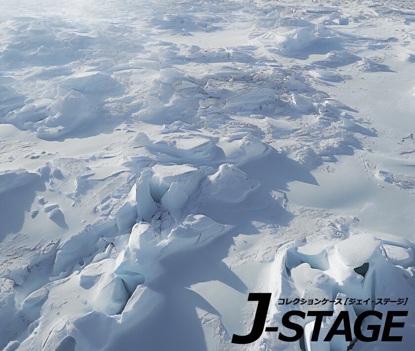 【30日★50枚★5%OFFクーポン】 【J-STAGE スタンダード レギュラータイプ専用 底面デザインシート】 南..