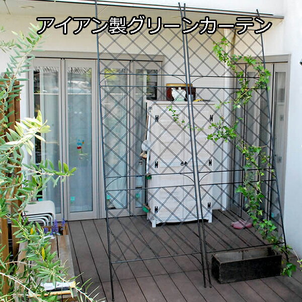 【5日★特別★5%OFFクーポン】 立てかけるだけ アイアン製 グリーンカーテン アーガイル ガーデンフェンス ハイタイプ ゴーヤネット 支柱 網目 おしゃれ ...
