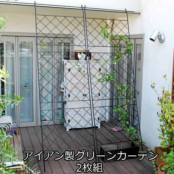 【5日★特別★5%OFFクーポン】 立てかけるだけ アイアン製 グリーンカーテン アーガイル 2枚組 ガーデンフェンス ハイタイプ ゴーヤネット 支柱 網目 お...