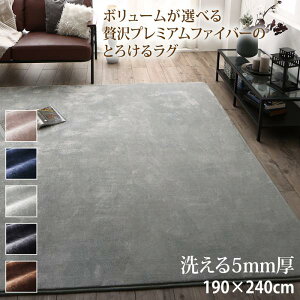 素足が喜ぶなめらかさ プレミアムファイバー ラグマット 5mm厚ウレタン入りタイプ 190×240cm 【送料無料】 長方形 滑り止め付き 洗える 静電気防止 ラグジュアリー おしゃれ ボリューム とろけるラグ