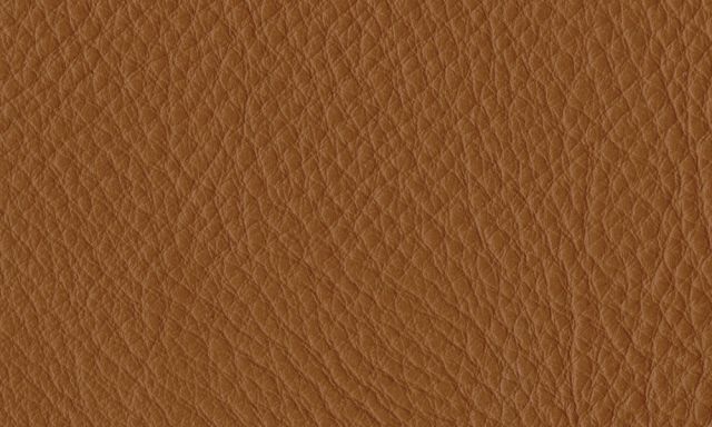 OW149 �����˥�������� ������ʥåȺ� ������ž夲 THOR307 (Carl Hansen & Son ������ϥ󥻥������) ������̵���ۡ�����Բľ��ʡۡ�P1�ܡ� �ڥݥ����1�ܡ�