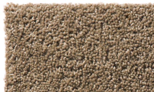 �饰�ޥå� Freeze �ե꡼�� 140��200cm �ɱ��б��� (�ե����С������ȥ��ƥ塼�ǥ���)