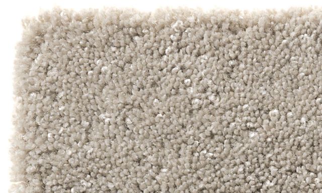 �饰�ޥå� Sparkle ���ѡ����� 140��200cm �ɱ��б��� (�ե����С������ȥ��ƥ塼�ǥ���)