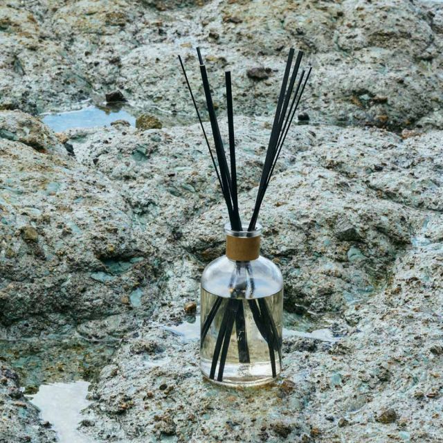 �ե쥰��󥹥ǥ��ե塼������ե��� #CEE Water��NOWHERE NOWHERE �Ρ������� �ʥ��ҥ��� ������̵����