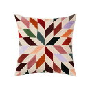 ベルベットクッション ノヴァ 50×50cm マルチ (Christina Lundsteen クリスティーナ ランドスティーン) 【送料無料】【在庫限り】【P...
