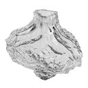 フラワーベース Canyon Vase Large クリア(Hein Studio ハインスタジオ) 【送料無料】