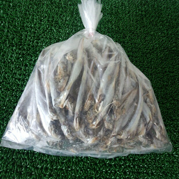 ◆送料無料!!無添加 訳あり◆子持ちシシャモ◆1500g【05P03Dec16】