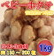◆生食用ベビーホタテ◆約150〜200粒青森むつ湾産(1kg)【05P03Dec16】