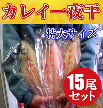 ◆箱売り◆超特大カレイの一夜干15尾入【05P03Dec16】