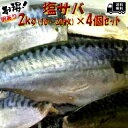 ◆送料無料セット売り◆無添加 訳あり◆国産塩サバ山盛り約2kg入×4個【05P03Dec16】