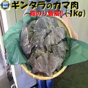 ◆送料無料!!無添加 脂乗り最高◆銀タラカマ肉1kg【05P03Dec16】