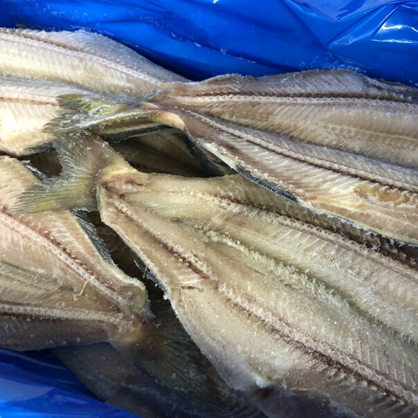 �������� ���ʥۥå� ������2kg (��ʪ)��05P03Dec16��