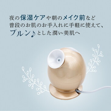 アクアナノスタイルスチーマー【ACQUA NANO STYEL STEAMER】スチーム 毛穴ケア ファイスケア