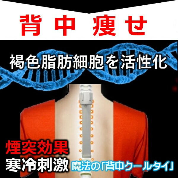 背中痩せ 痩せるサプリ お茶と違い背中を寒い環境にすると体の仕組で痩せ始めビフォーアフターで即効性が分かる「背中クールタイ」 は褐色脂肪細胞とが重なり【着けるだけで】ナチュラルダイエットができ、 基礎代謝を上げ、ミトコンドリアも増えスタミナアップ 送料無料