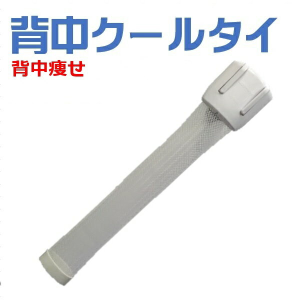 ダイエット器具 背中痩せ 肩甲骨の周り 痩せる 褐色脂肪細胞 活性化 中性脂肪 分解 遊離脂肪酸 燃焼 即効果 お腹周り 引き締め くびれ 下半身 在宅 室内 カラオケ コスパ 犬の散歩 通勤通学 家事 有酸素運動 ショッピング 消費カロリー 痩せる 健康グッズ 背中クールタイ