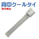 ダイエット器具 背中痩せ 肩甲骨の周り 痩せる 褐色脂肪細胞 活性化 中性脂肪 分解 遊離脂肪酸 燃焼 即効果 お腹周り 引き締め くびれ 下半身 在宅 室内 カラオケ コスパ 犬の散歩 通勤通学 家事 有酸素運動 ウォーキング ながらダイエット 健康グッズ 魔法の背中クールタイ