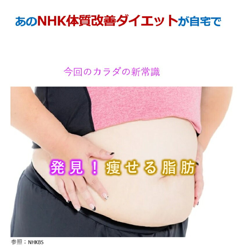 楽天市場】背中クールタイの通販
