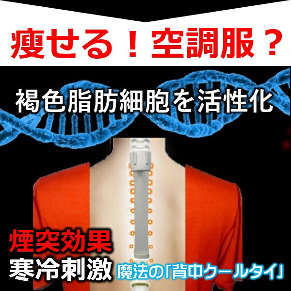 着けると痩せる 背中 冷却ダイエット器具魔法の「背中クールタイ」Lをオススメ 条件付き送料無料 痩せるサプリ お茶と違い即効果がでる 痩せる空調服 脊髄の周りにある褐色脂肪細胞を冷やし 中性脂肪を消費して やせる 褐色脂肪細胞 ミトコンドリア増床　スタミナアップ