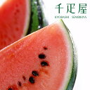 京橋千疋屋 すいか 【クール便(冷蔵)】