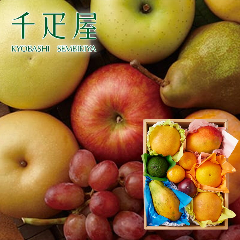 Set, Assortment - 京橋千疋屋 【父の日ギフト2026】 果物詰合せ（季節の果物、5〜7種類程） 【クール便（冷蔵）】