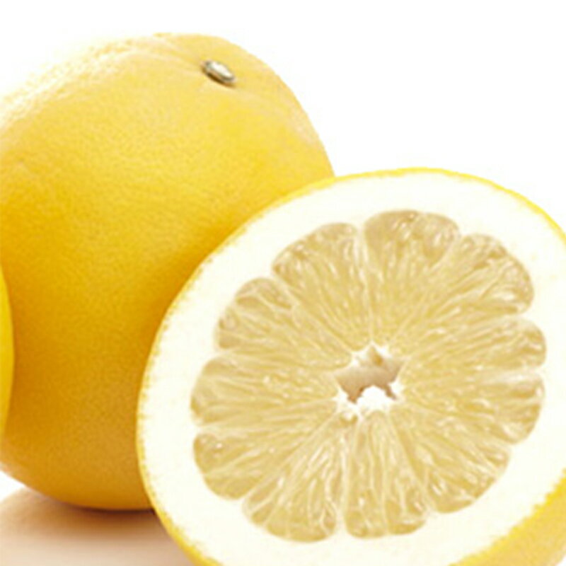 ������ɥ�� �ݤ���ޤ�6���� �ڥ������ء���¢�ˡ�