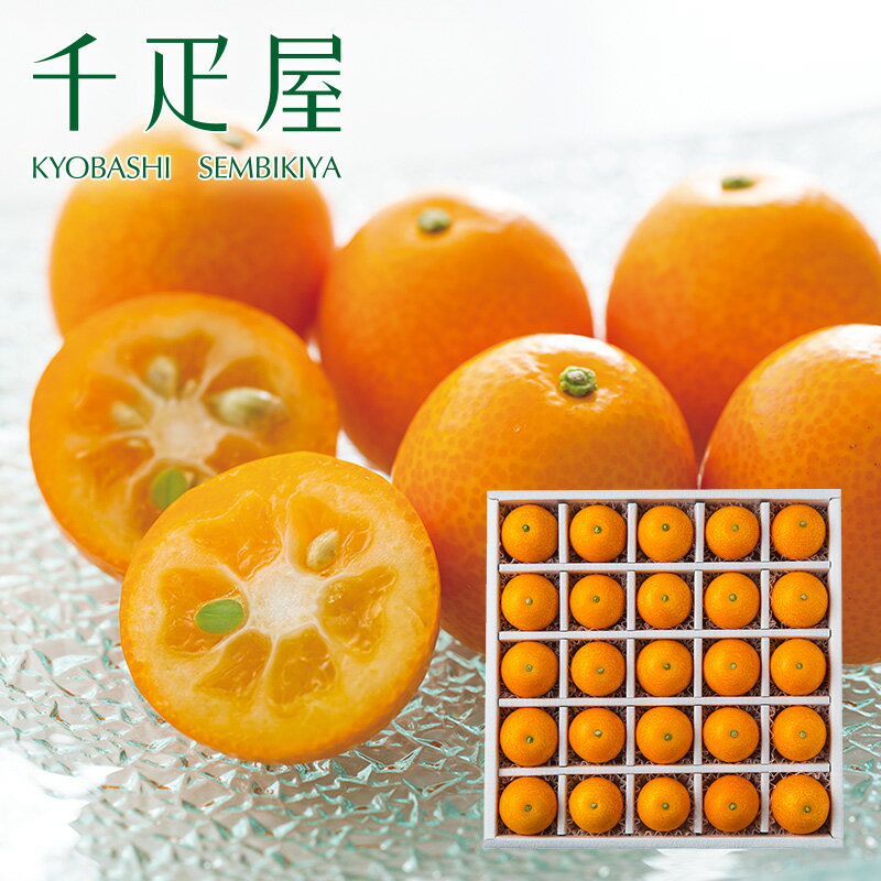 限定商品一覧はこちら 旬のフルーツ一覧はこちら [商品詳細] 内容 25粒入 サイズ 21.5×21.5×5.8cm 配送温度 常温 取扱期間 3月中旬頃まで 備考 ※果物をご注文のお客様へ※果物のお届けにつきましては、入荷状況や鮮度を考慮して、お届け日の変更をお願いすることがございます。また、大型連休中（3連休も含む）や年末年始につきましては果物の入荷がないため、ご希望に添えないことがございます。お客様にはご不便をお掛けしますが何卒ご理解ご了承の程、よろしくお願い申し上げます。 包装・のしについて 包装・ラッピング 当店ではご指定がなければ、全てギフト包装でお届けしております。 （一部包装できない商品もございます） 不祝儀用包装・風呂敷（有料）のご用意もございます。※冷凍品については簡易包装でお届けさせていただきます。 手提げ袋 千疋屋名入の手提袋を、ご希望に応じてご注文数までの枚数お付けいたします。注文画面の備考欄にてご入力ください。 ※アイス・シャーベット（冷凍品）につきましては、手提袋をお付けできません。 のし ご希望のお客様にはのし紙をご用意させていただきます。 お名前入りも承ります。その他ご要望等ございましたら注文画面の詳細指定事項欄にてご入力下さい。 外のしができない一部の商品を除き、基本的に【内のし】でご用意いたします。 掛けのしについてご希望がございます場合は、必ずご指定ください。 一部商品につきましては掛け紙での対応ができません。その場合、短冊でご用意させていただきます。 また、ご用途の内容が不明な場合は短冊でご用意させていただきます。 例：「内祝」の指定のみで、内祝の内容が不明な場合等 ※御中元、御歳暮など季節の贈り物につきましてはお名前指定がない場合、表書きのみの短冊でご用意させていただくことがございます。 のし紙をご希望の場合は、必ずご指定をお願い申し上げます。 納品書・領収書 納品書や領収書など、商品金額がわかるものは同封いたしません。ご利用金額はご案内メールで確認お願いします。領収書をご希望のお客様は、注文の際にご要望ください。 検索ワード：catooaきんかん詰合せ 栄養豊富、甘みたっぷりの完熟きんかんです。 きんかんはビタミンやカルシウムなどの栄養成分が豊富に含まれていることから、「風邪が流行るときんかんが売れる」と昔から言われ、「風邪の民間薬」として親しまれてきました。さっと水で洗ってパクっと簡単に生のまま、皮ごと召し上がれるので、果皮に含まれる栄養素までしっかりとれ、疲労回復や風邪の予防などにおすすめの果物です。「金柑＝酸っぱい」とイメージされがちですが、パリッとした食感にとろける甘い果肉、ほのかな酸味とさわやかな風味がお口の中いっぱいに広がります。「もう1粒、あと1粒」と思わず手が出てしまう美味しさ！見た目も美しい食べ応え抜群の大粒きんかんをぜひお楽しみください。※「砂糖漬け」「果実酒」「甘露煮」「ジャム」「薄くスライスしてサラダに入れる」など様々なアレンジもおすすめです。 安心品質フルーツ専門の職人が目利きして選び抜いた果物を1つ1つ丁寧に詰め合わせます。※写真は10,800円の詰合せイメージです。詰合せ内容は価格や季節により異なります。