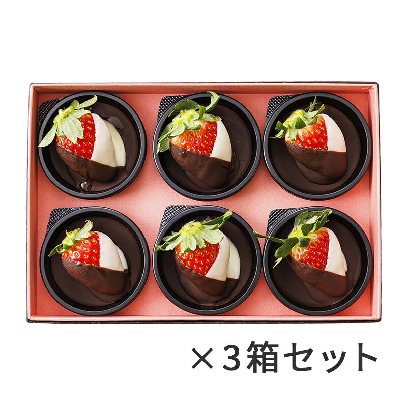 京橋千疋屋 【ホワイトデー2026】 ショコラ・フレーズ6個入×3箱セット 【クール便（冷蔵）】