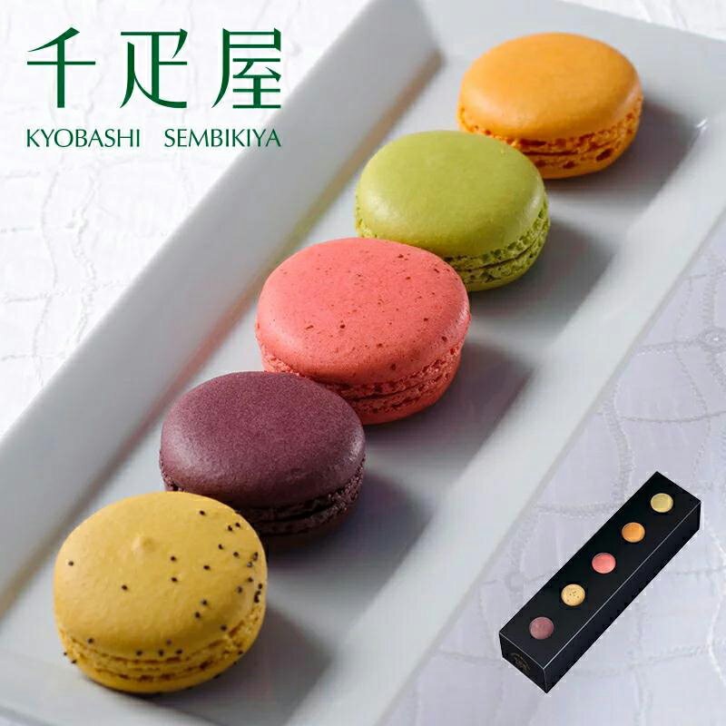 ������ɥ�� �ڥХ�󥿥���ǡ�2026�� �ե롼�ĥޥ������5�����ˡ�3Ȣ���å� �ڥ������ء���¢�ˡ�