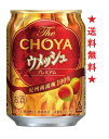 yzThe CHOYA EbV v~A 250mlx1P[X(24{)