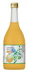 【2020年2月25日新発売】寶 和りきゅーる 北海道産メロンのお酒〈ふらのメロン〉12度 720mlx1本