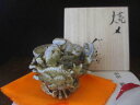 ぐい呑み ■ 浜田敦士作 焼締 蟹 ぐい呑 (共箱) 【和食器】【ギフト】