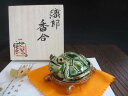 香合 ■ 浜田純理 織部 亀 香合(共箱) 和食器 ギフト