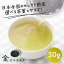 【LINE追加で300円オフ】煎茶 お試しパック 缶入り30g チャック袋入り50g|緑茶 茶葉 ティーパック ゆたかみどり 濃い 高級 個包装 カフェイン 煎茶道東京 公式 東京茶寮 おすすめ 入れ方 簡単 水出し カフェイン 効能 スーパーSALE セール 早割 プレゼント ギフト ボックス
