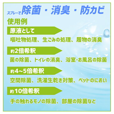 【4/28〜順次お届け】1ケース(2L×6本入) 高精度次亜塩素酸水　200ppm ハセッパー　HACCPPER　2L　食品添加物としても認定　HACCP認定品　除菌　消臭　防カビ　アルコール　エタノール　予防　ウイルス対策　殺菌 抗菌 即納対応　200ppm