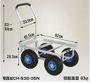 愛菜号 大きいコンテナ1個用ハウスカー ノーパンクタイヤ 積載重量80kg 仙台銘板 CH-530-35N ハラックス HARAX