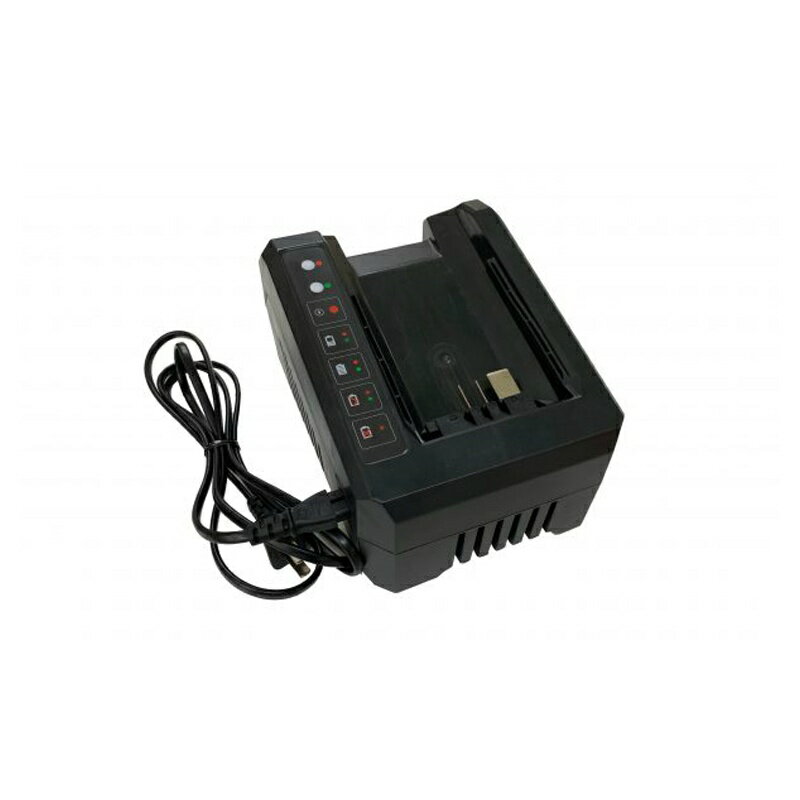 【マラソン期間2%OFFクーポン8日11時まで】【オプション品】elexシリーズ スペア充電器 TPCH5602 アイデック iDECH