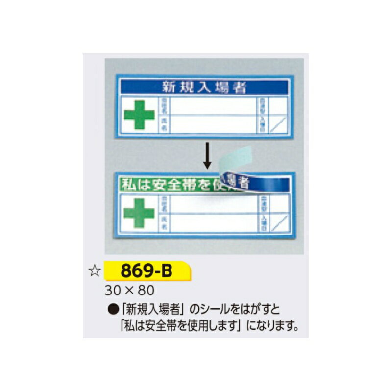 ヘルメット用ステッカー 新規入場