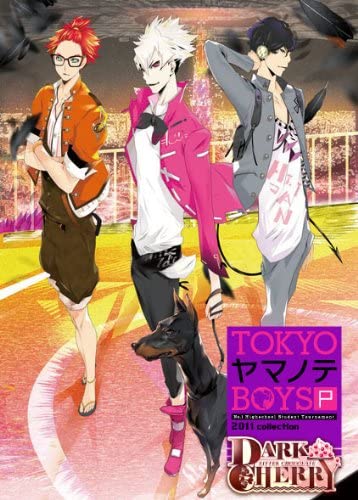 PSP TOKYO}meBOYS _[N`F[DISC@ʏ