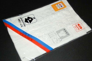 さらし肌襦袢 半襦袢 綿レース袖付き ばち襟 日本製品 定番肌着 繰り越し普通 スカイホワイト晒し日本製 結婚式 入学式 卒業式 成人式 お茶会 下着 着物 和装下着 踊り 日本舞踊 女性用新舞踊 パッケージが違う場合あり ポスト投函で送料無料【キモノ仙臺屋の和装小物特集】ネット予約