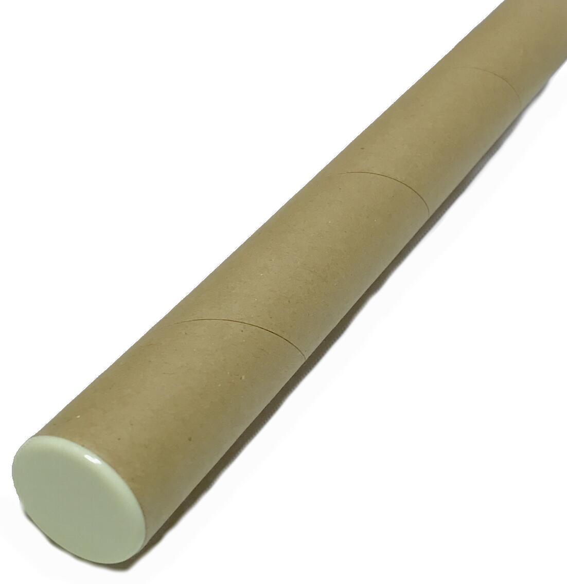 ȿʪ�δ��� ���� ��� ���� ���� �����ġ�No.016 ����ñ��1�ܡ�ľ��2.4cm Ĺ��37.0cm �ۤ򴬤����� ��ʪ���ϥϥ���δ����� ����ȿʪ�� ���� ��ο����㴳�㤦��礢�� �������� ���깩��ˤ⤪������ �����Ǻ�:�� ���Ǻ�:�ץ饹���å����ڥ�������ʲ���������ʪ�ý���