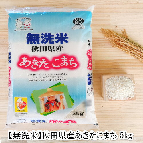 お米 BG無洗米 5kg 秋田県産あきたこまち 平成30年産...