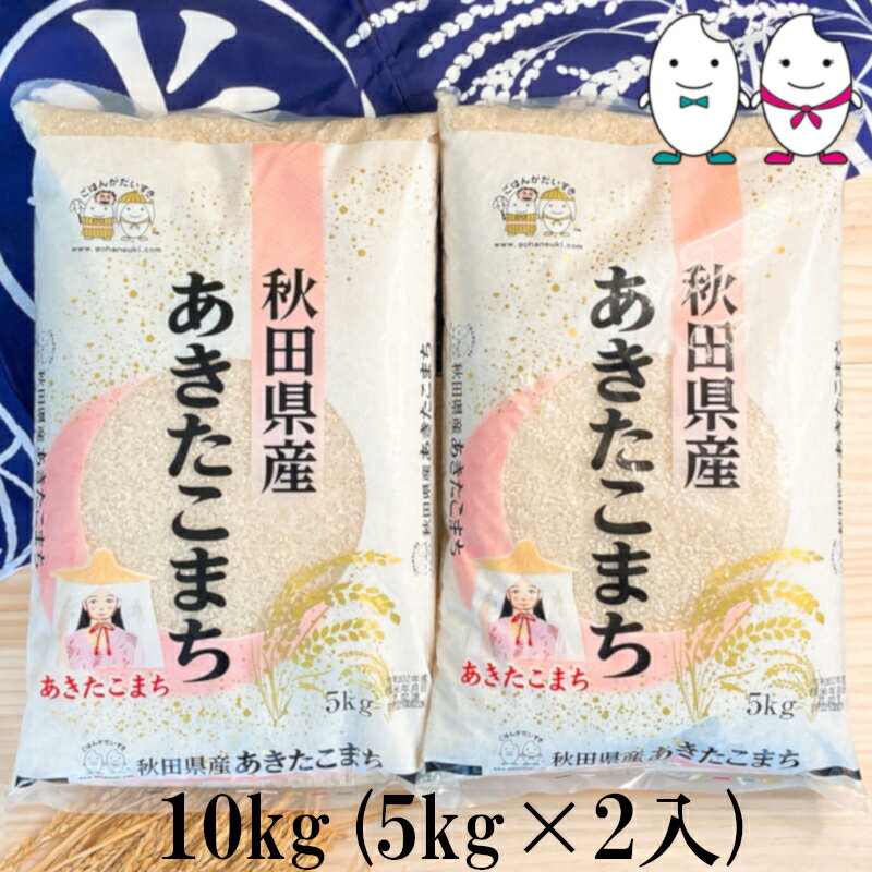 お米 10kg(5kg×2） 秋田県産あきたこまち 令和3年産