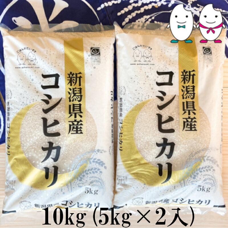 お米 10kg(5kg×2） 新潟県産コシヒカリ 令和5年産
