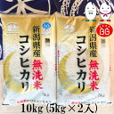 お米 BG無洗米 10kg(5kg×2） 新潟県産コシヒカリ 令和5年産