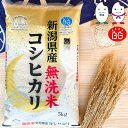 お米 BG無洗米 5kg 新潟県産コシヒカリ 令和5年産