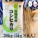 お米 30kg(5kg×6） 茨城県産コシヒカリ 令和5年産